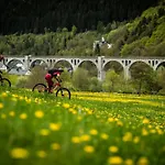 Sporthotel Zum Hohen Eimberg Willingen (Upland)