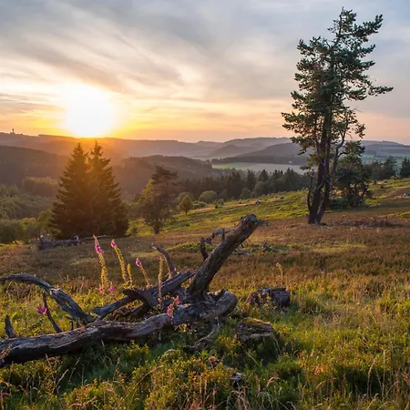 Zum Hohen Eimberg Готель 4*