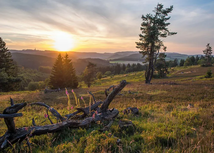 Zum Hohen Eimberg 4*